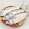 Ikan Kembung